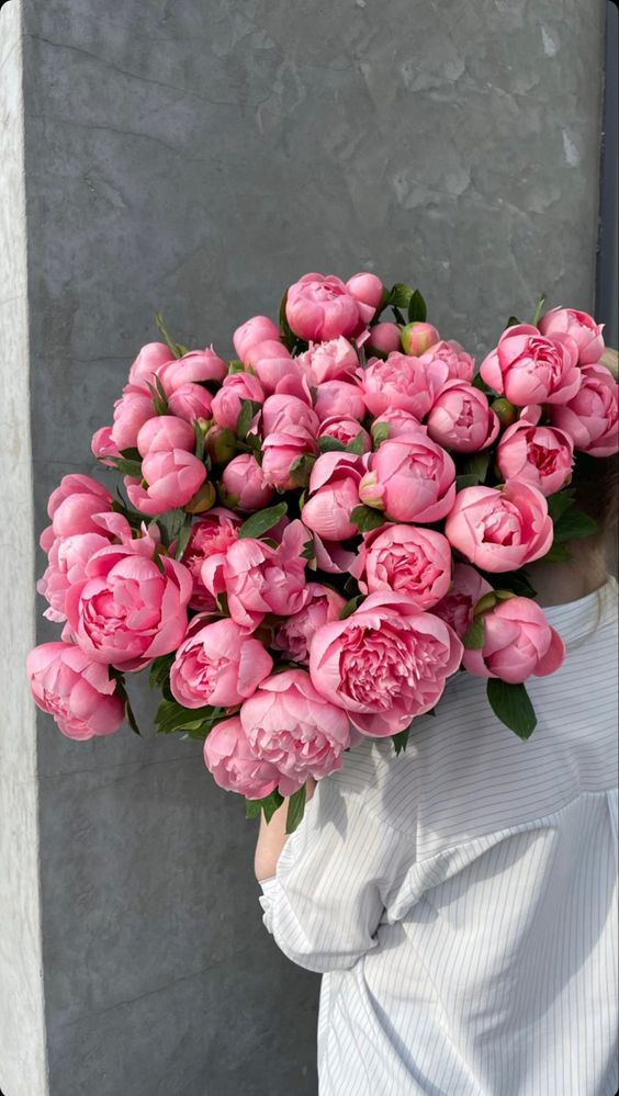 peonies-3