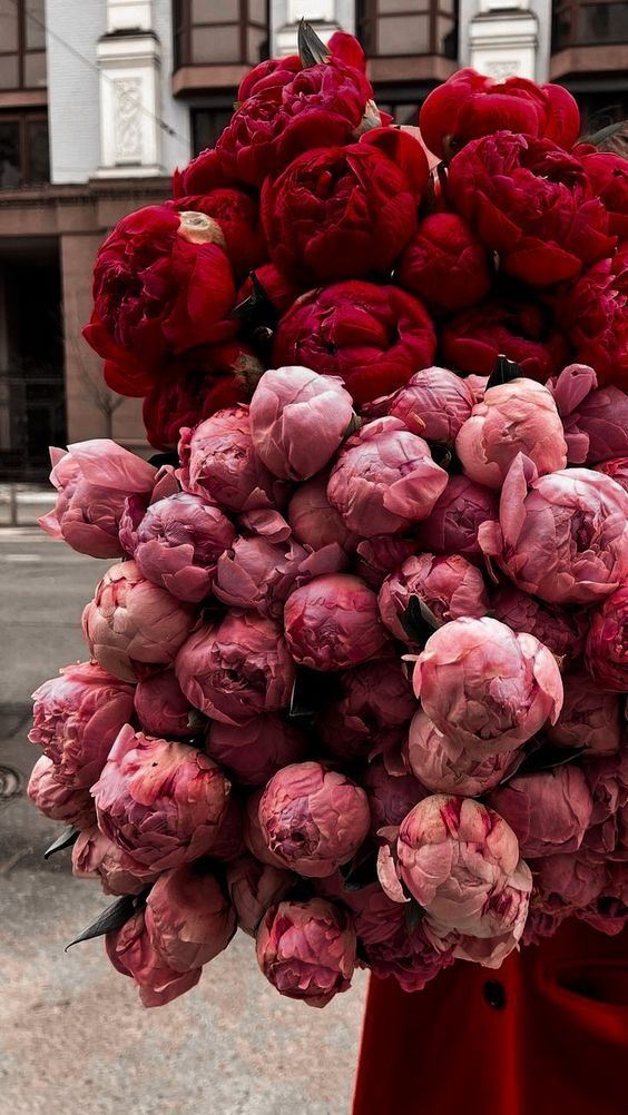 peonies-2